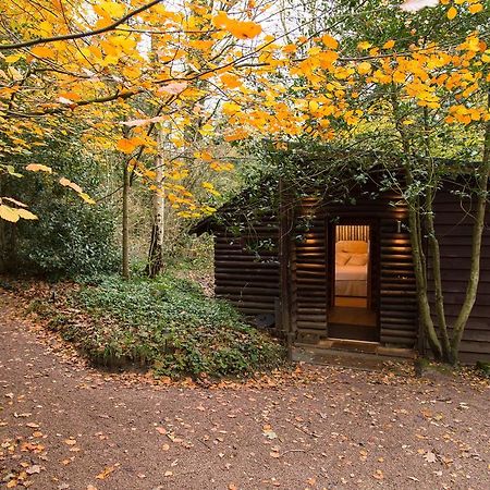 Pinetum Lodge Gloucester Quarto foto